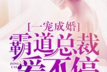 小说《一宠成婚：霸道总裁爱不停》章节免费阅读-贝壳文学