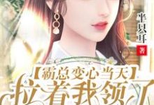 男女主人公 沈风华战尘嚣小说霸总变心当天，拉着我领了离婚证章节免费阅读-贝壳文学