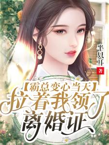 男女主人公 沈风华战尘嚣小说霸总变心当天，拉着我领了离婚证章节免费阅读