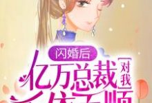 闪婚后，亿万总裁对我千依百顺最新章节，闪婚后，亿万总裁对我千依百顺章节在线阅读-贝壳文学