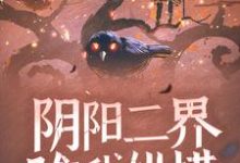 阴阳二界唯我纵横小说全文哪里可以免费看？-贝壳文学