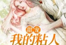《甜宠：我的粘人小狼狗》全集免费在线阅读（凌月江驰）-贝壳文学
