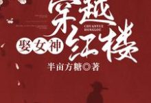 穿越红楼娶女神小说有没有完结版在线？-贝壳文学