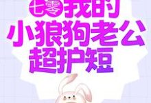 七零：我的小狼狗老公超护短小说全文阅读需要付费吗？寻找免费资源-贝壳文学