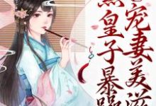 庶女崛起！腹黑皇子暴躁宠妻美滋滋小说免费资源，庶女崛起！腹黑皇子暴躁宠妻美滋滋在线阅读-贝壳文学