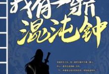 《我有一鼎混沌钟》小说章节列表免费试读,华云飞小说在线阅读-贝壳文学