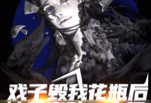 已完结小说《戏子毁我花瓶后，被我索赔二十亿》章节在线阅读-贝壳文学