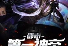 都市第一神帝小说阅读，都市第一神帝完结版-贝壳文学