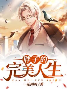 王昊夏曦范无忧的完整故事在哪里？读胖子的完美人生小说