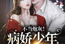 男女主人公叫楼宴沈岁欢的小说免费资源-贝壳文学