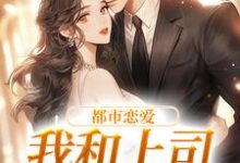 在线寻找宋谨言苏念念的小说，都市恋爱：我和上司he了免费阅读-贝壳文学