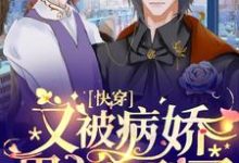 完结版《快穿：又被病娇男主撩到了》在线免费阅读-贝壳文学