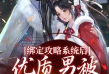 完整版的绑定攻略系统后，优质男被她迷晕了小说在哪里可以免费读到？-贝壳文学