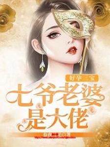 完结版《好孕三宝：七爷老婆是大佬》在线免费阅读