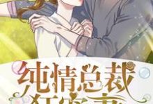 苗一夕狄高阳为主角的小说好看吗？求纯情总裁狂宠妻免费试读-贝壳文学