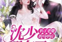 扒了老婆的马甲后,沈少翻车了小说,扒了老婆的马甲后,沈少翻车了免费阅读-贝壳文学