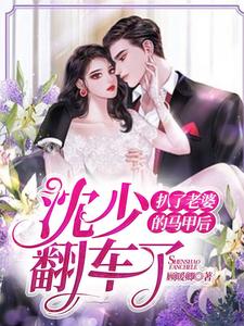 扒了老婆的马甲后，沈少翻车了小说，扒了老婆的马甲后，沈少翻车了免费阅读