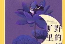 安夷沈韫安夏沈旭东是哪本书的主角？寻找旷野里的星免费阅读-贝壳文学