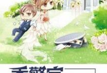 主人公叫江婉季子尘江亦坤高念念的小说哪里免费看-贝壳文学