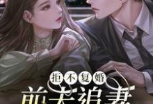 拒不复婚：前夫追妻杀疯了章节免费在线阅读，江潮陆北望完结版-贝壳文学