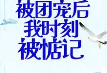 男女主人公叫夏眠霍今郴的小说免费资源-贝壳文学