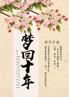 梦回十年小说阅读，梦回十年完结版