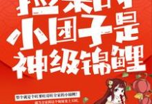 捡来的小团子是神级锦鲤谭七月小说在线章节免费阅读-贝壳文学