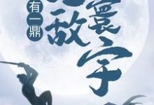 我有一鼎，无敌寰宇小说无弹窗阅读的网站推荐-贝壳文学