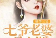 已完结小说《好孕三宝：七爷老婆是大佬》章节免费阅读-贝壳文学