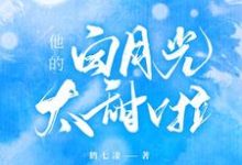 时晚段泽轩小说在线章节免费阅读（他的白月光太甜啦无弹窗无删减）-贝壳文学