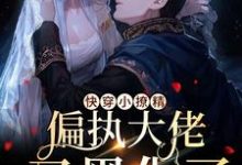 梨久为主角的小说快穿小撩精：偏执大佬又黑化了在线阅读-贝壳文学