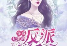 《穿成大佬的反派小娇妻》小说大结局免费试读 沈从容薄翊苏红果小说-贝壳文学