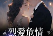 烈爱危情：错付一世情深小说有没有完整的免费版本在线阅读？-贝壳文学