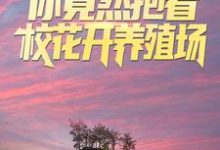 男女主人公叫陆哲宁舒的小说免费资源-贝壳文学