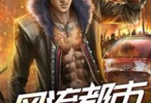 风流都市之盗帅小说，风流都市之盗帅免费阅读-贝壳文学