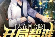 小说《人在四合院，开局帮淮如赚点钱》在线章节阅读-贝壳文学