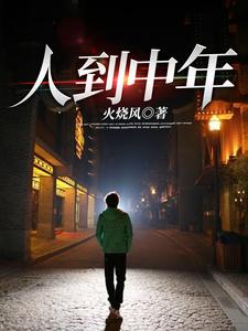 在线寻找人到中年小说的无删减版本