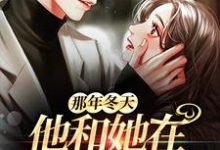已完结小说《那年冬天，他和她在月光下重逢》最新章节-贝壳文学