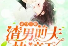 豪门二嫁,渣男前夫快滚开!(苏浅齐晨)在线免费阅读-贝壳文学