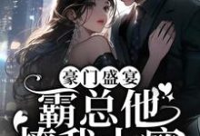 《豪门盛宴:霸总他撩我上瘾》小说章节列表免费试读,苏停云沈阅川小说在线阅读-贝壳文学