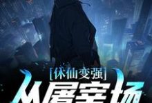 休仙变强,从屠宰场杀猪开始小说,休仙变强,从屠宰场杀猪开始免费阅读-贝壳文学