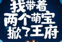 穿成下堂妃后，我带着两个萌宝掀了王府免费阅读，穿成下堂妃后，我带着两个萌宝掀了王府章节在线阅读-贝壳文学