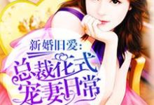 主角叫艾心陆品的小说在哪阅读-贝壳文学