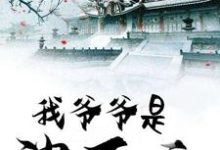 免费看我爷爷是沈万三小说的网站有哪些？-贝壳文学