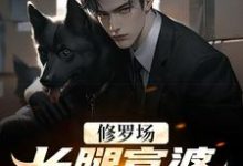 主角叫陈尘小说修罗场:长腿富婆为我折了腰章节免费阅读-贝壳文学