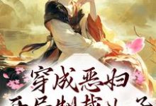 求穿成恶妇,开局制裁儿子小说免费资源-贝壳文学