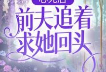 小说《心死后，前夫追着求她回头》章节免费阅读-贝壳文学
