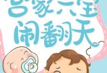 免费阅读冷惜月宫心逸司马蕙兰为主角的小说，宫家六宝闹翻天在线看-贝壳文学