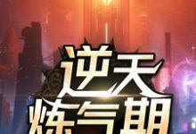小说《逆天炼气期》章节免费阅读-贝壳文学