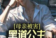 在线寻找刘斌张璐的小说，母亲被害，黑道公主扶我登高位免费阅读-贝壳文学